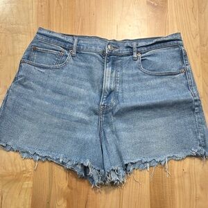 American Eagle Outfitters Classic Blue Denim Shorts
